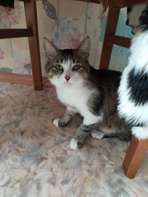 изображение_viber_2023-05-10_17-10-14-979