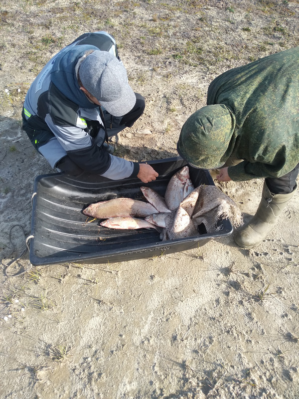 Познавательно-ненапряжный Русский Север без крайних заполярных точек