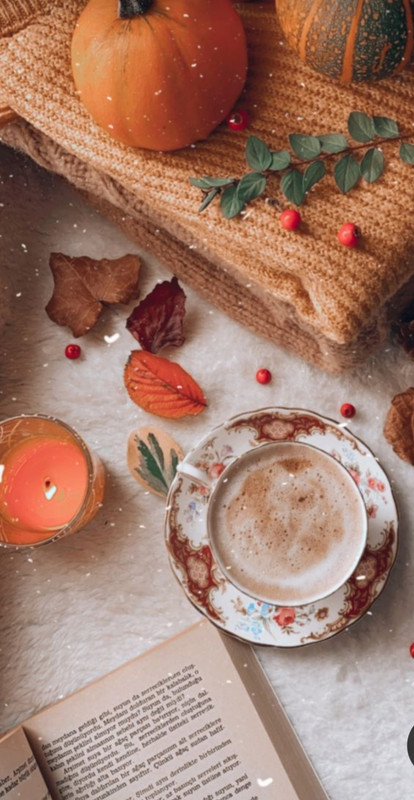 Screenshot_20230923_000004_Pinterest