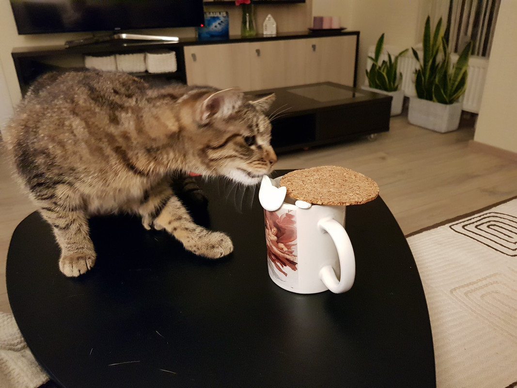 20190507-222234.jpg