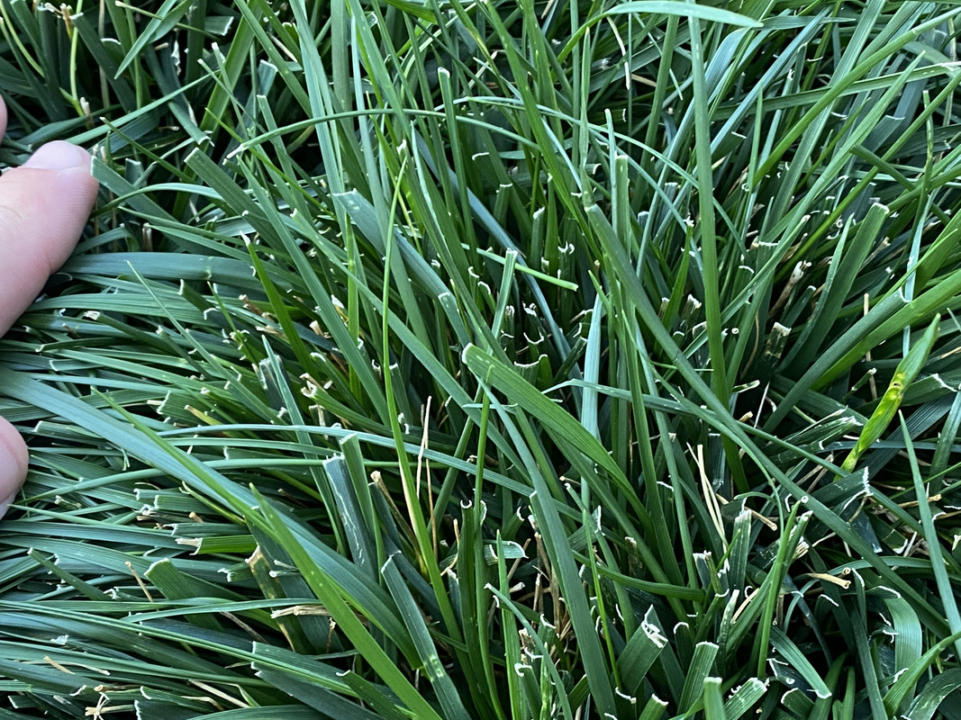 953992CD-A558-4335-82B9-B845F1A2755B