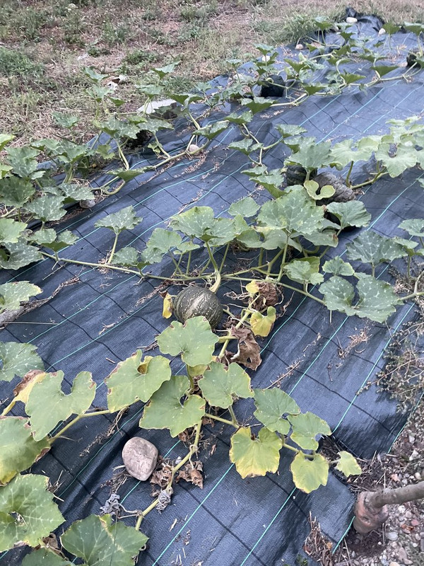 600EE13E-6E76-4EC7-A040-923F45E8646E