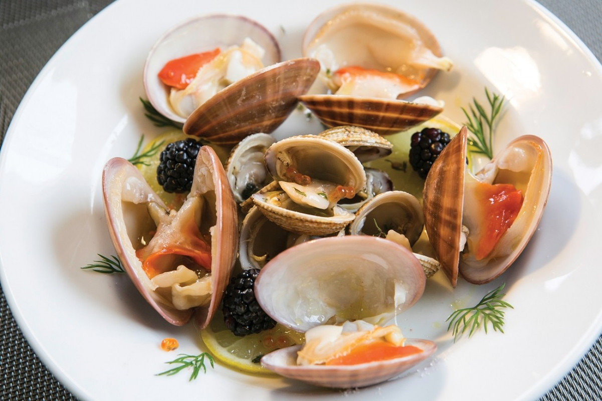 c9jCMw25oT2JXsxvZ6z8