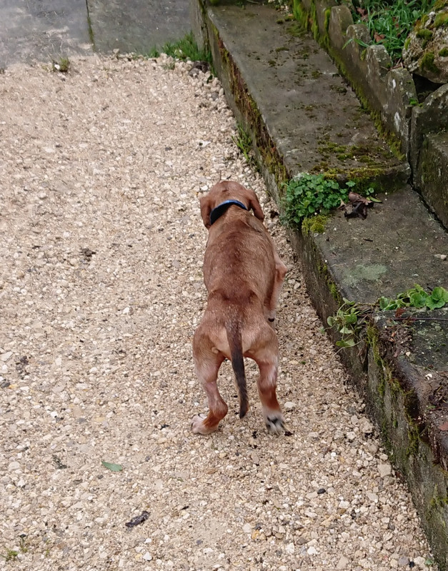 [Image: 20250125-154446.jpg]