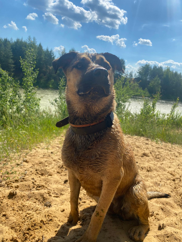 AE6E416F-5BBC-4B40-B704-E7FBBE9D4785