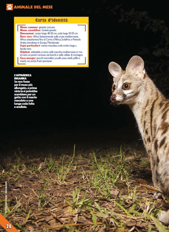 Foc Wil - Giu 2023 (5)