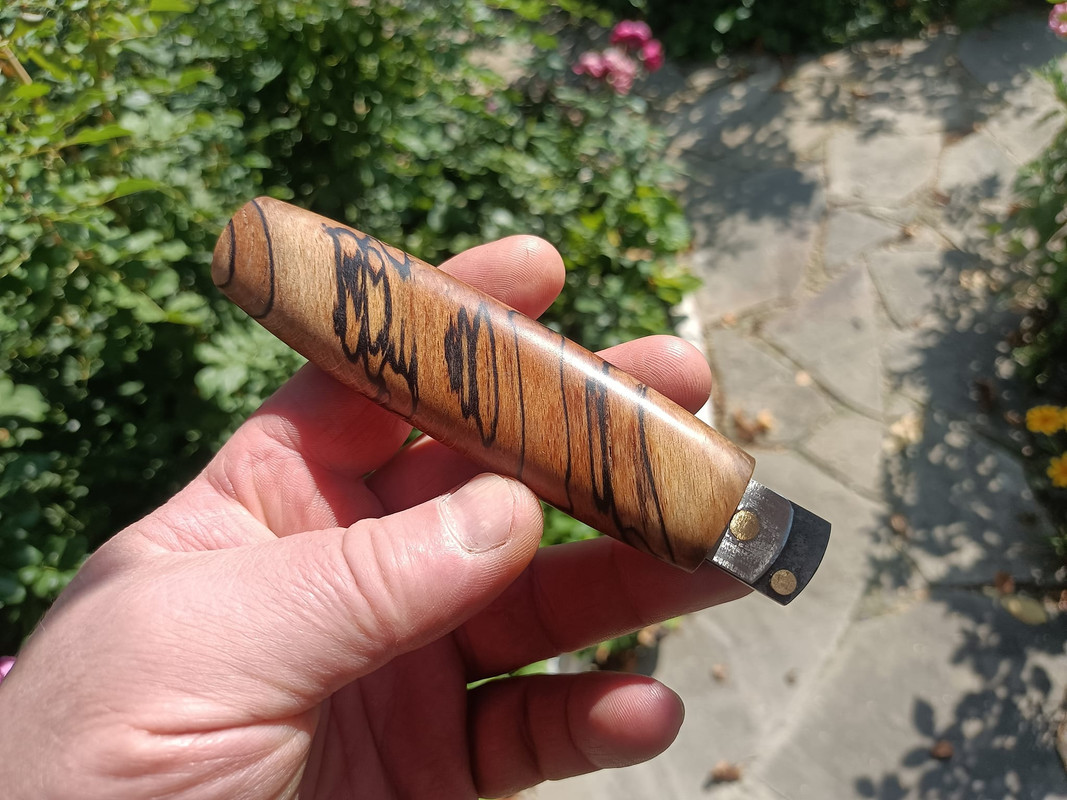 457565175_3594150147501349_1844510726310404151_n