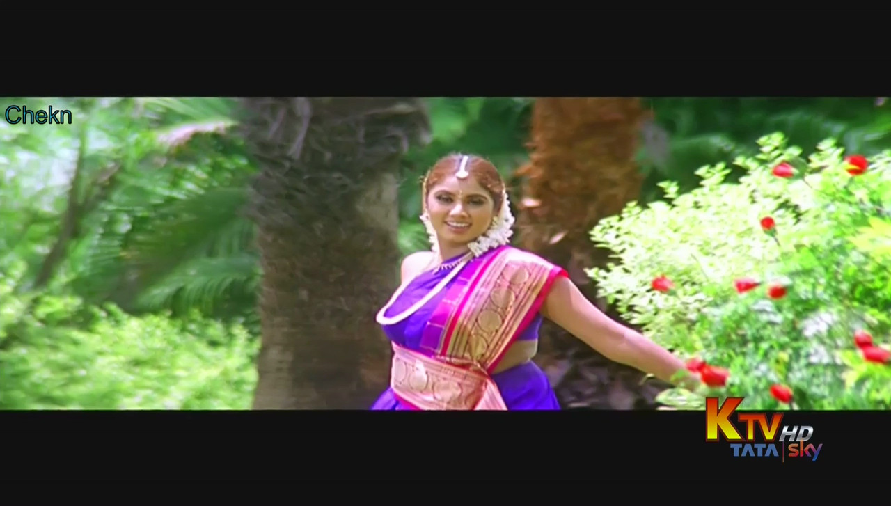 vlcsnap-2020-09-15-23h42m19s312