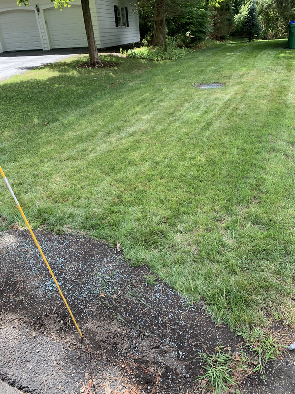 6FEB8210-D234-4CDF-ADAB-790259E95966