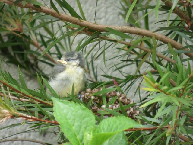 BFD08C3E-BC25-4E92-8181-B126DF64DB40