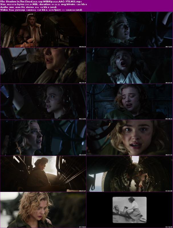 Shadow-In-The-Cloud-2020-720p-WEBRip-x264-AAC-YTS-MX.jpg