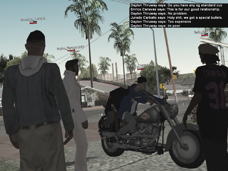 SS3.png