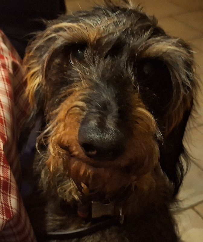 [Image: 20240926-210045.jpg]