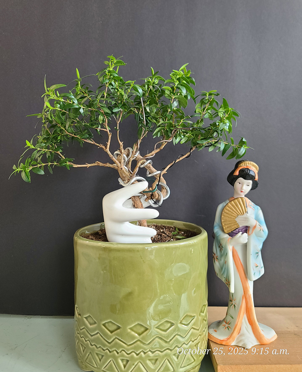 [Image: 2025-11-10-095111.png]