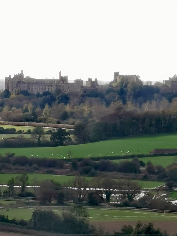 IMG_20231105_120524_edit_301814168950821