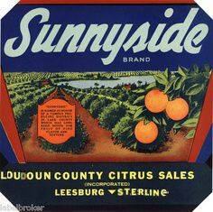 loudoun county citrus