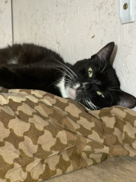 911F56DE-1BB8-4F86-B47A-BA57D46612D3