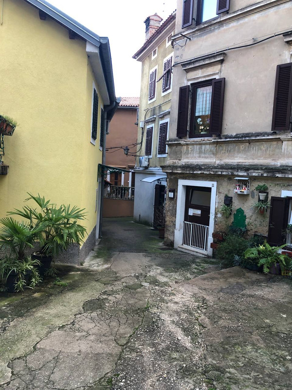 photo_2025-01-29_18-35-41