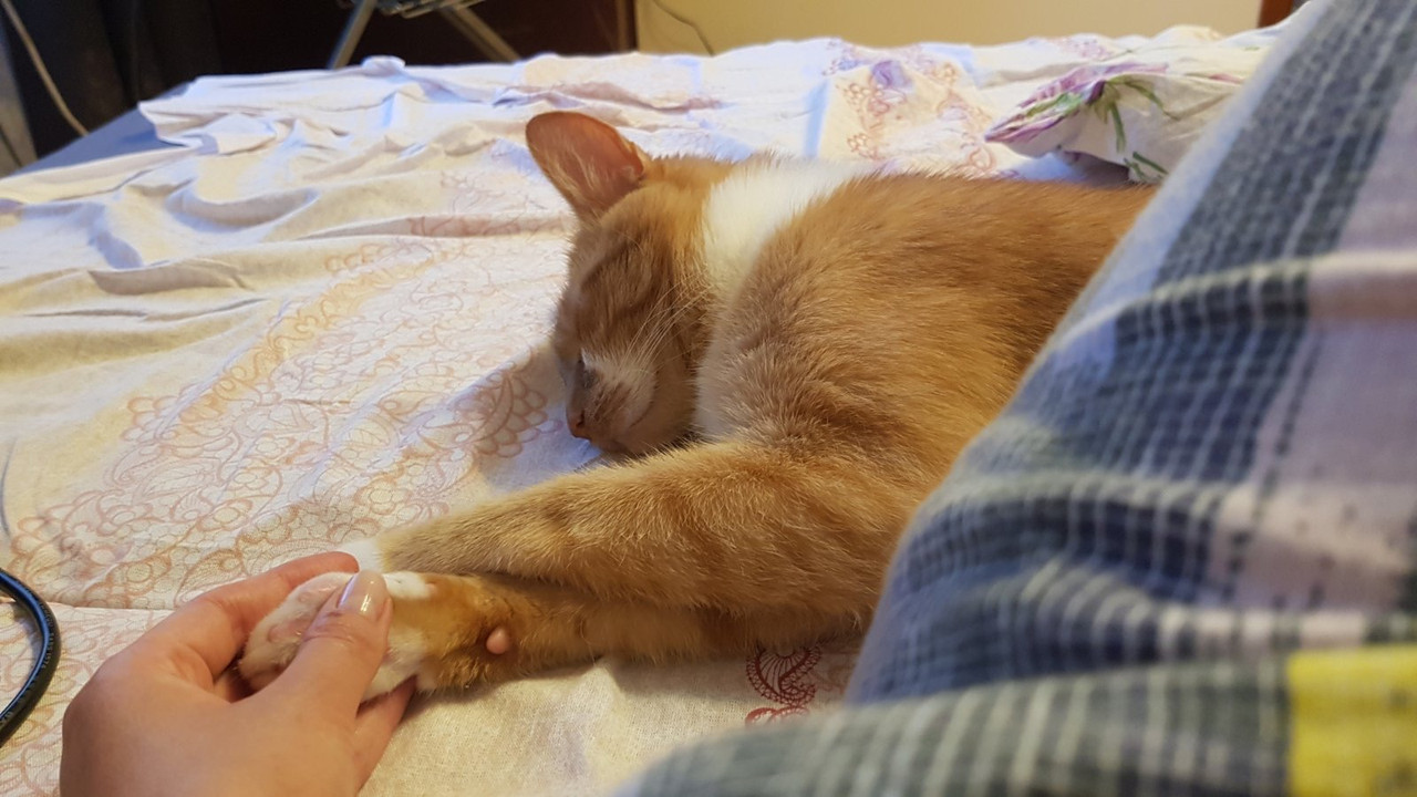 7B891D53-E692-472F-A0A5-AB57E7DBF6B8