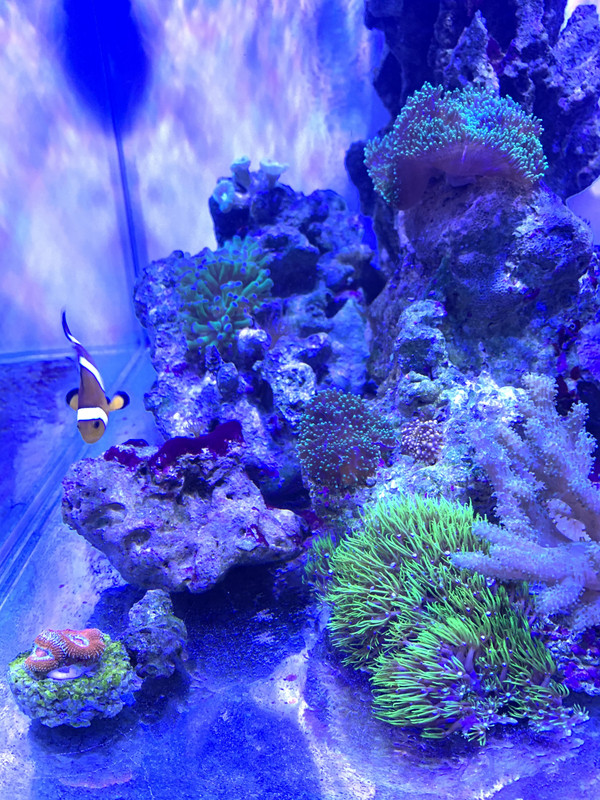 54B2AF85-A6B9-48CE-AF3D-750E1C094C8E