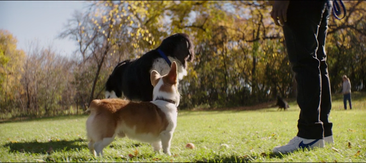 vlcsnap-2017-05-23-15h54m29s383