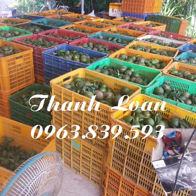 Sóng nhựa đựng hàng lớn, sóng nhựa chữ nhật, rổ nhựa có bánh xe./ 0963.839.593 Ms.Loan Sot-trai-cay-1