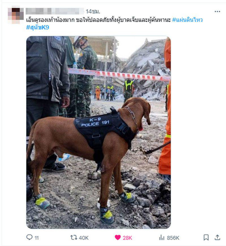 w1200 - 2025-03-29T144024.848