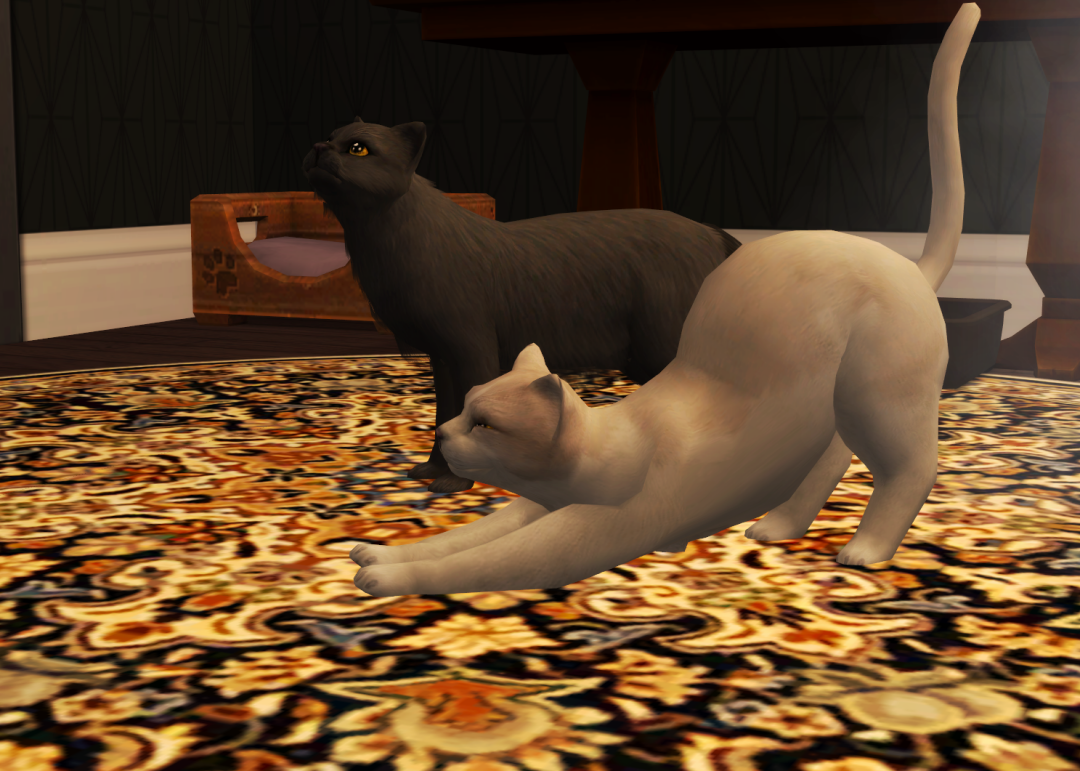 Sims2-EP9-RPC-2022-10-25-19-32-10-23