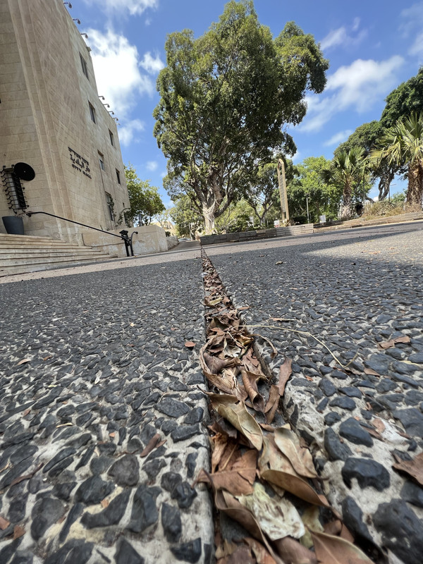 FA78B0BA-F6D7-4B53-88F0-9EA45EE800A9