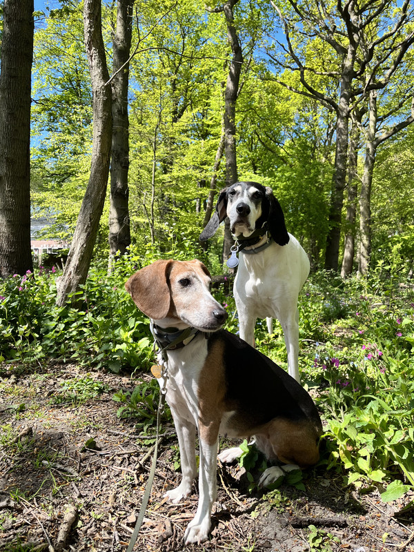 766AF8F9-1D1A-4BEF-A59B-7F2E65483A3E