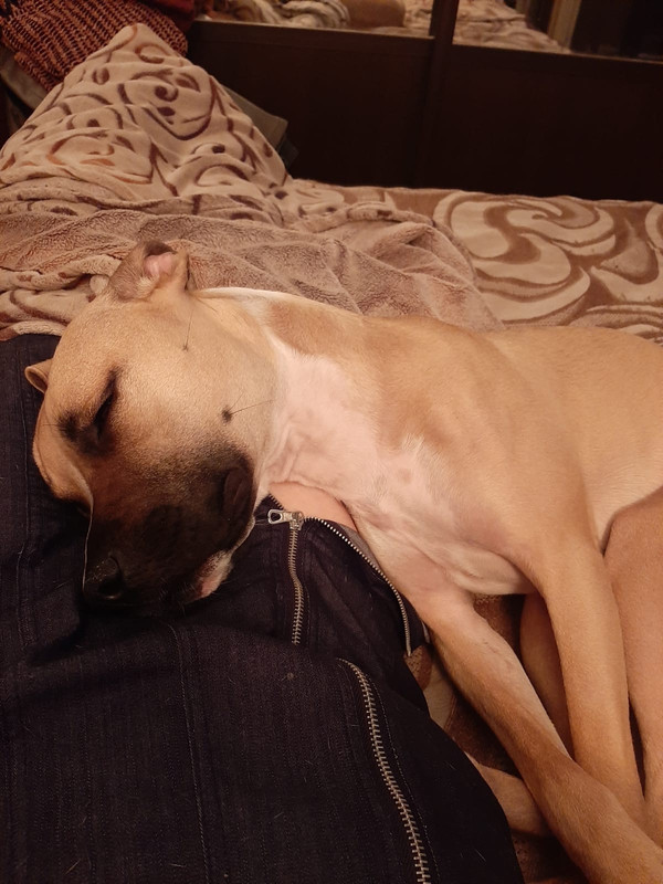 D8740F5F-E38E-449F-8BDC-B6D88A8777D3