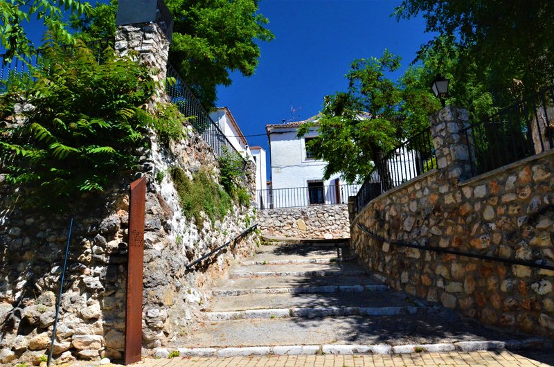 Madrid y sus pueblos-2000/2022 - Blogs of Spain - OLMEDA DE LAS FUENTES-5-6-2020 (47)