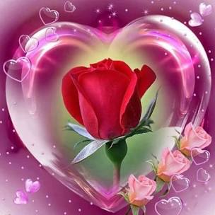 [Image: 225-C42-FA-2946-4-C62-8530-6-C3-B6-C3-F99-BA.jpg]