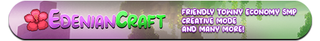 server banner