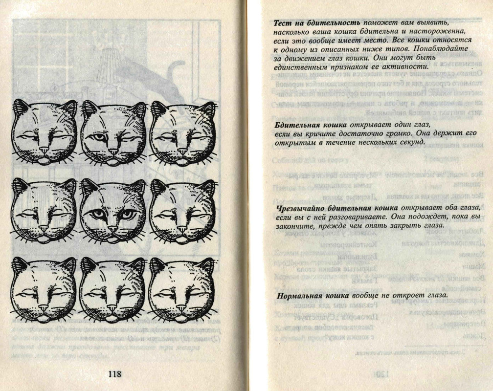 Bejker-Stiven-Kak-zhit-s-koshkoj-nevrotikom-page-0061