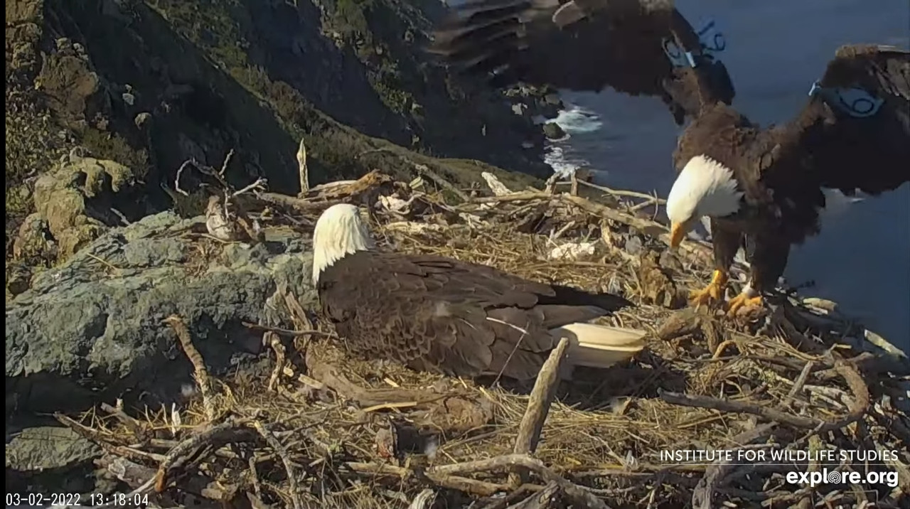 F9A910A5-14B5-43C2-A3C5-68E221A661A1