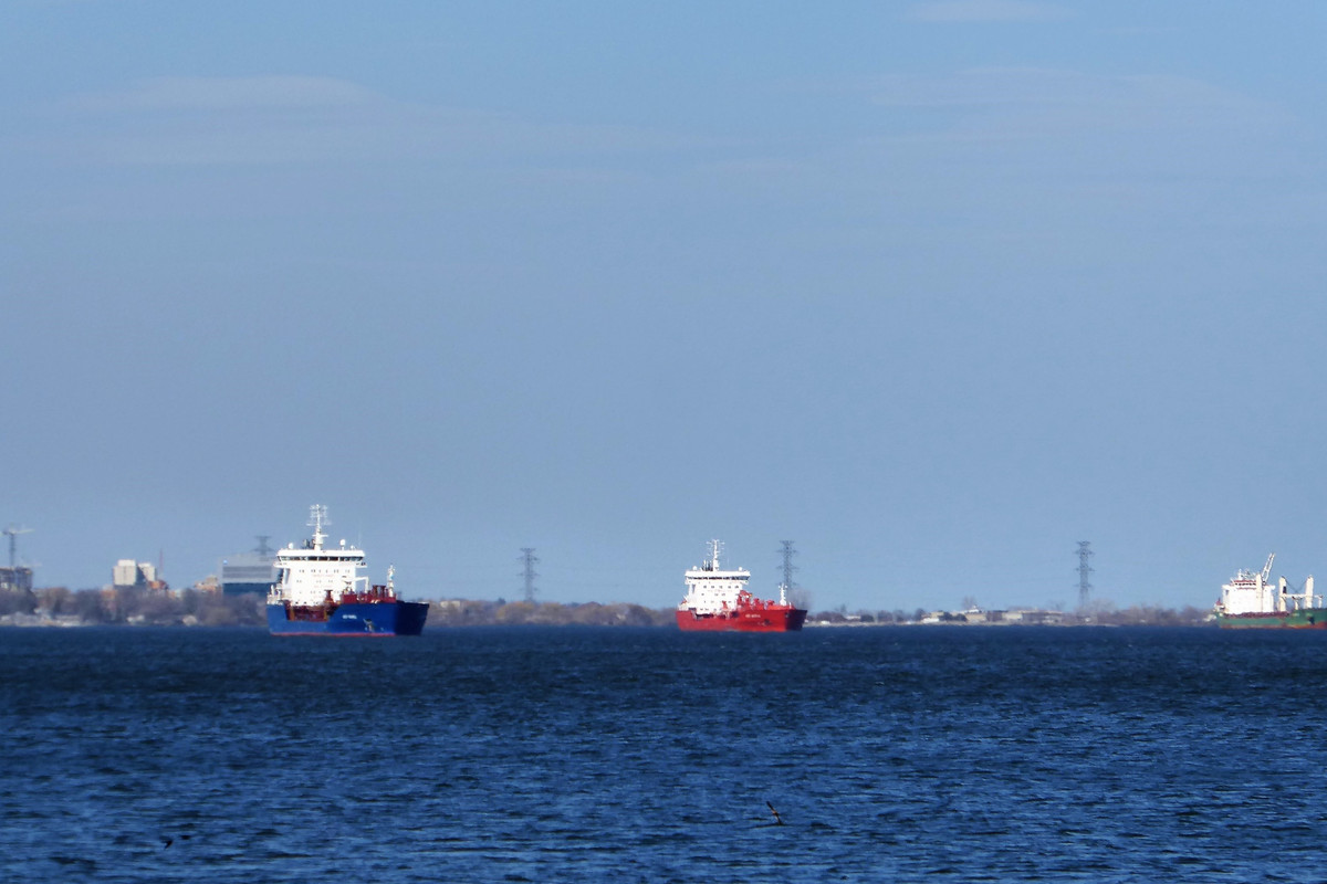 Hamilton 1 May Bro Agnes  Blacky  2018 (6)