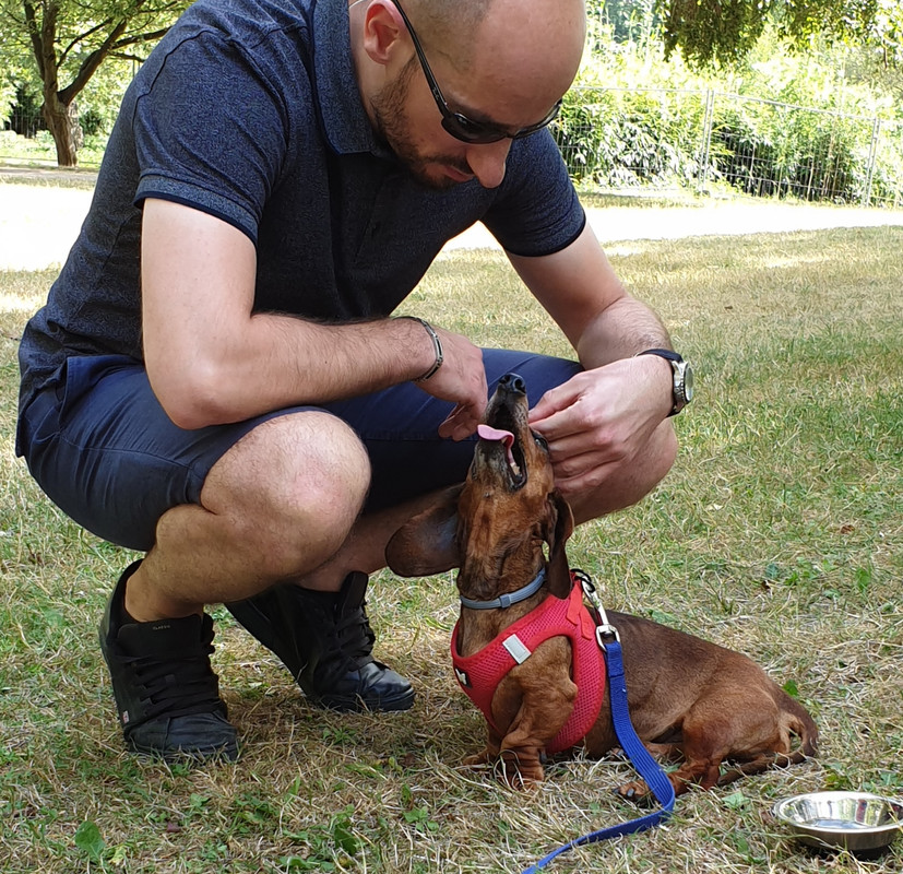 [Image: 20200627-221800.jpg]