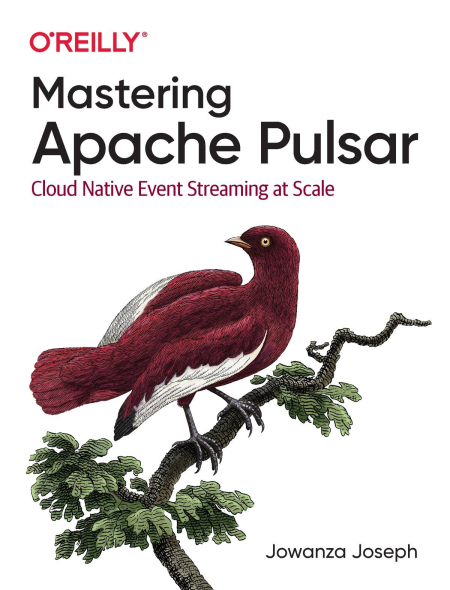 Mastering Apache Pulsar: Cloud Native Event Streaming at Scale (True EPUB)