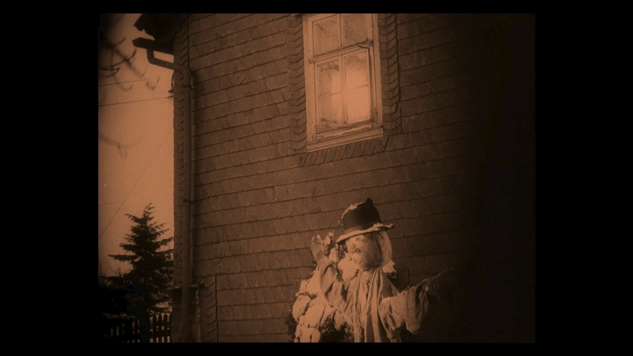 vlcsnap-2020-12-07-15h48m04s754