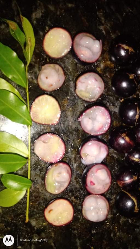 WhatsApp Image 2020-12-20 at 00.10.49 (53)