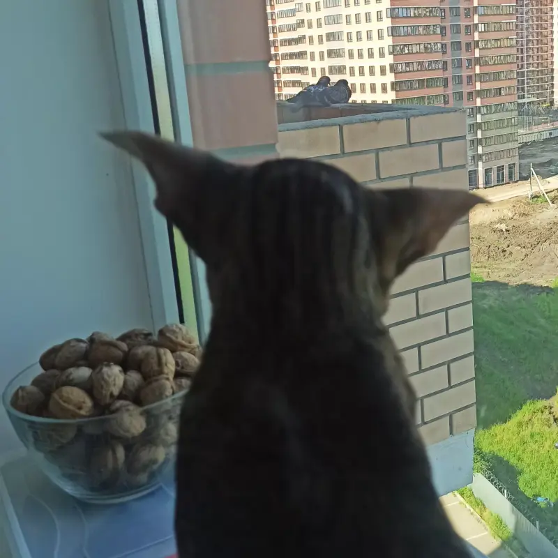 IMG_20220527_165008_036