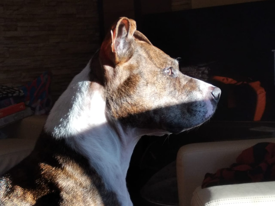 D93E741D-8B2C-442B-8D98-1C2E73EF3992