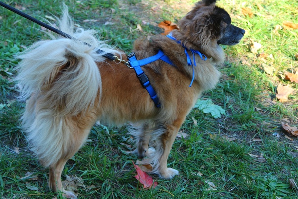 667B9CEE-ACA7-493B-BF15-CBB1D1CCCB2A