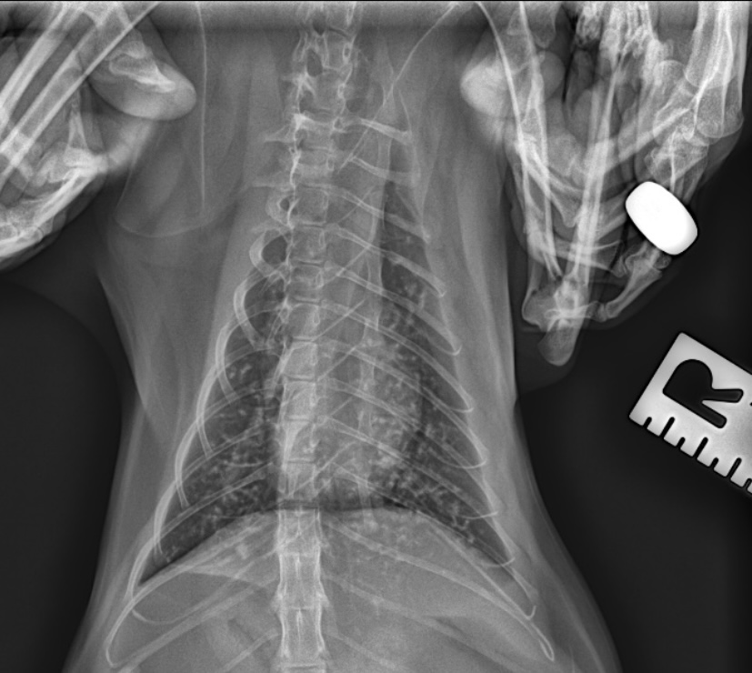 7F9D8257-B52E-48D0-AD82-08A0FBD9E2E7