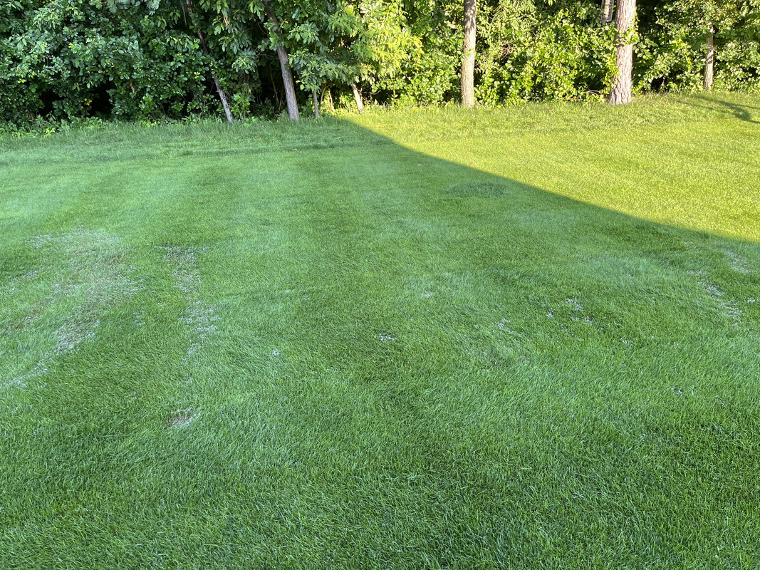 6F5D2AD2-8D8E-4F71-AE51-B8EB21F90A37