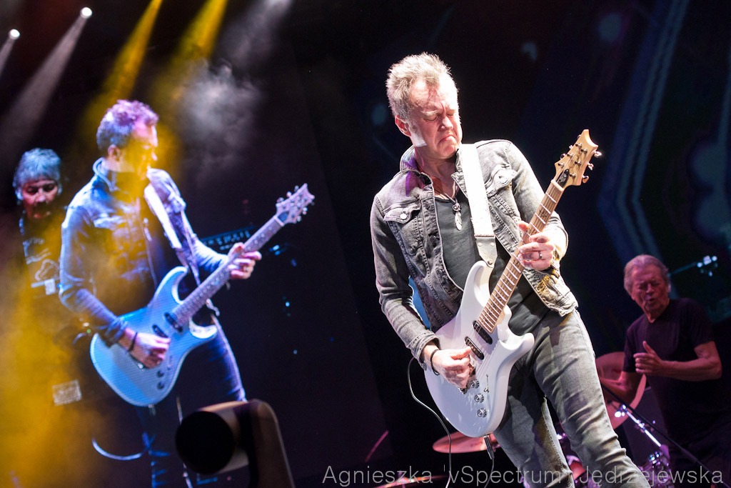 [Obrazek: v-Spectrum-Deep-Purple-1719.jpg]