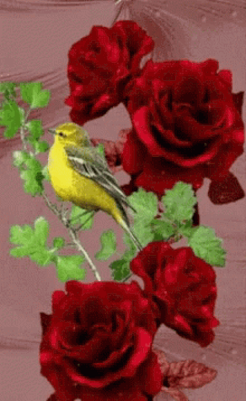 An den Beitrag angehängtes Bild: https://i.postimg.cc/JnFY6BQk/oie-6115739-Gpf-MWTn-Q.gif