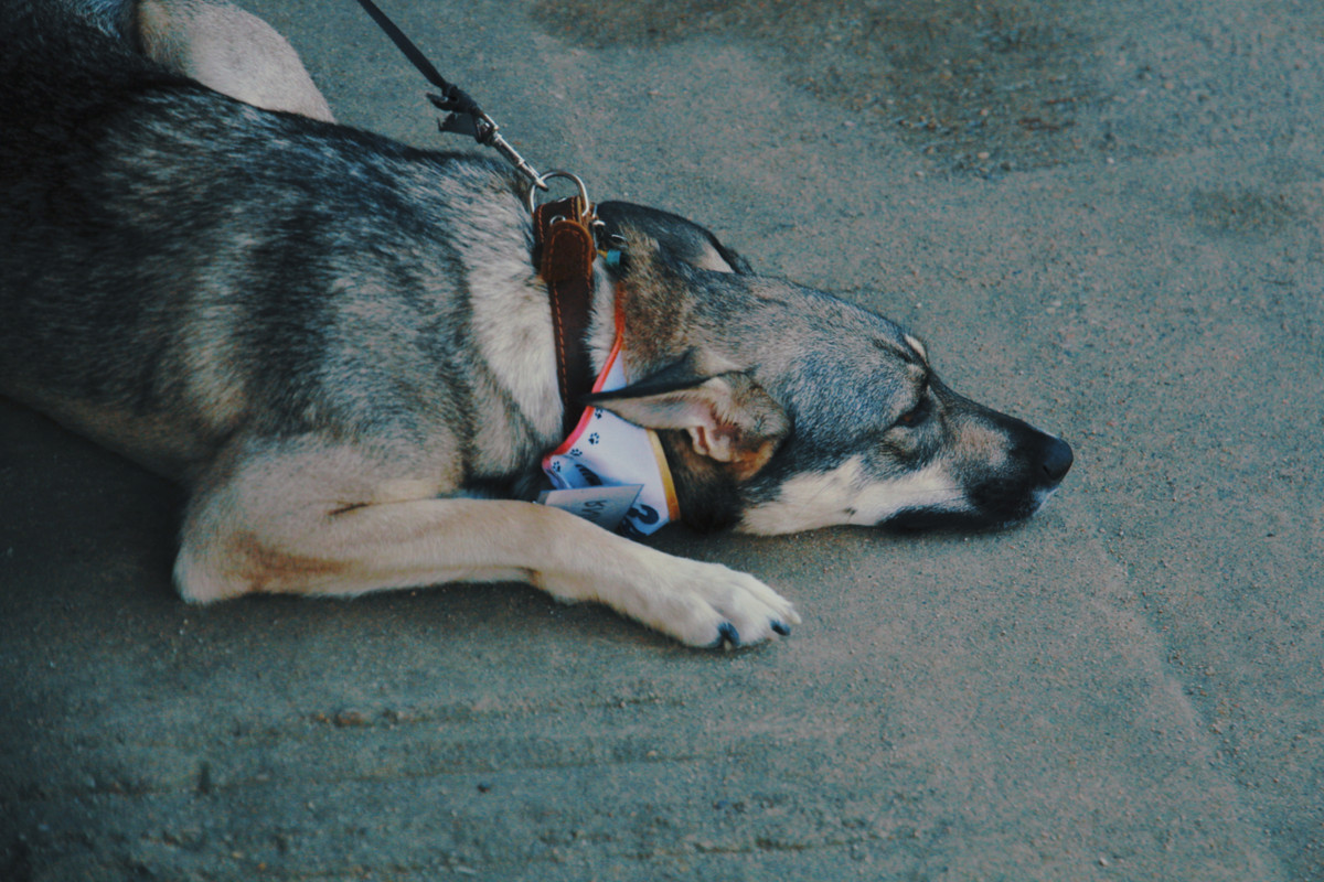 23-08-07_12-42-56-986