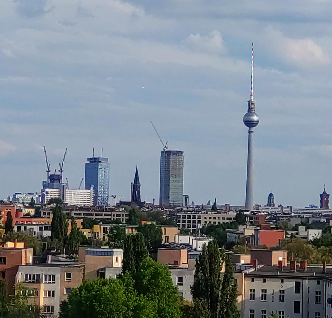 DSC-1303-4.jpg
